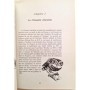 Baudvin, H. (Hugues). Génot, J. C. (Jean-Claude). Muller, Y. (Yves) | Les rapaces nocturnes ( 2e Edition )