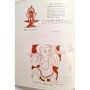 PARANAVITANA, Senerat | Sinhalayo ( 2ème éd )