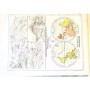 Cortambert, Eugène | Nouvel atlas de géographie moderne composé de 66 cartes coloriées