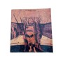 L'Art gothique siennois : enluminure
