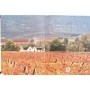 Borchert, Peter | Voici L'Afrique Du Sud