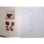 Pelon, Olivier | Fouilles exécutées à Malia. Exploration des maisons et quartiers d'habitation (1963-1966). 3è fasc