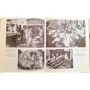 Mosley, Leonard | La bataille d'Angleterre