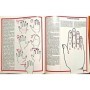 Yaria, Yacinto. / Barbaglia, Susanna | Le Livre des mystères