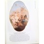 Levey, Michael | The National Gallery Collection