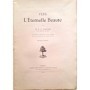 Munier, Adrien ( R.P.) | Vers l'éternelle beauté ( 2è édition)