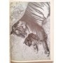 Hagenbeck, John | Danneh, tigre royal