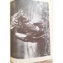 Hagenbeck, John | Danneh, tigre royal