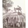 Gardi, René | Artisans africains . Rencontres et choses vécues en Afrique occidentale