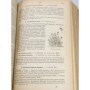 Vilmorin-Andrieux | Les fleurs de pleine terre : comprenant la description et la culture des fleurs annuelles, vivaces et bulbe