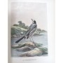 Theuriet, André | Nos oiseaux / André Theuriet - 110 compositions de H. Giacomelli, gravées sur bois par J. Huyot