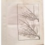 Traité des jardins, ou Le nouveau de La Quintinye : Jardin Fruitier.