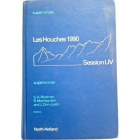 Supernovae : Les Houches