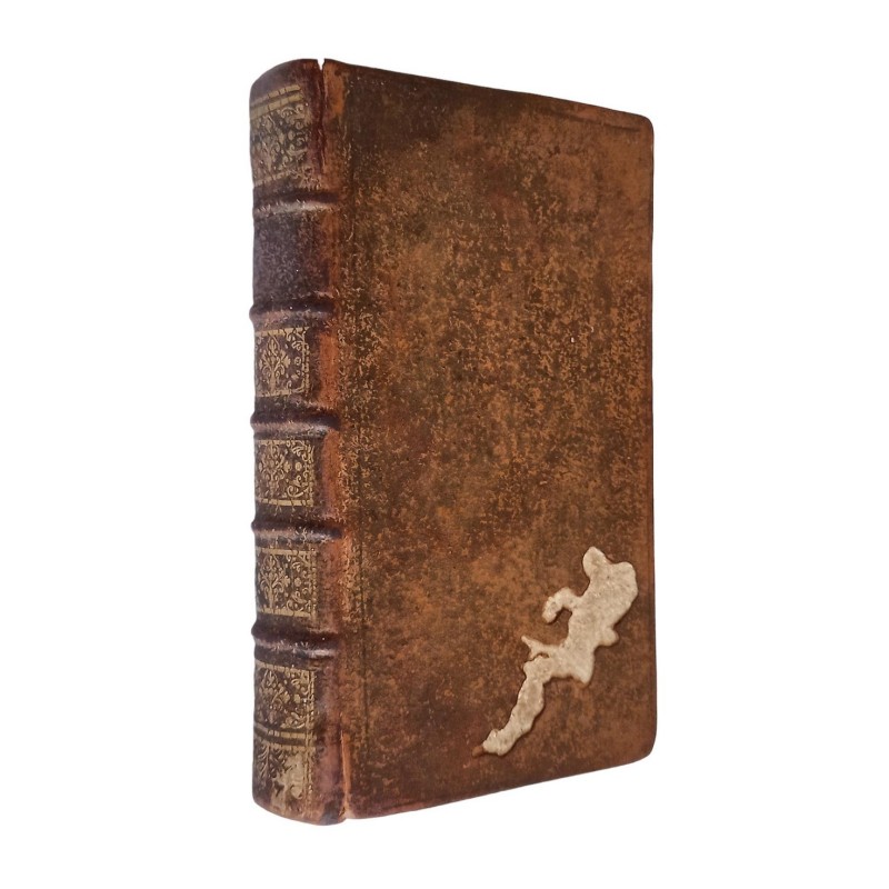 Nouvelles découvertes sur la guerre dans une dissertation sur Polybe