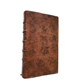 Histoire de Nicolas Rienzy